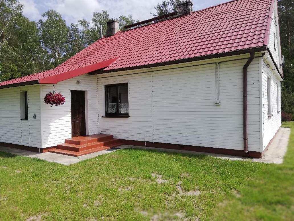 Agroturystyka "Lesne Zacisze Na Podlasiu" Tuczna Buitenkant foto