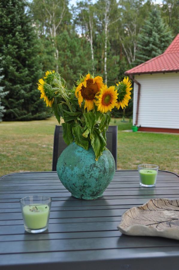 Agroturystyka "Lesne Zacisze Na Podlasiu" Tuczna Buitenkant foto